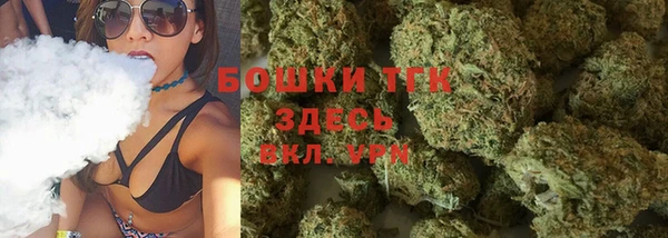 индика Верхнеуральск