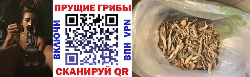 Галлюциногенные грибы GOLDEN TEACHER маркетплейс телеграм Афипский